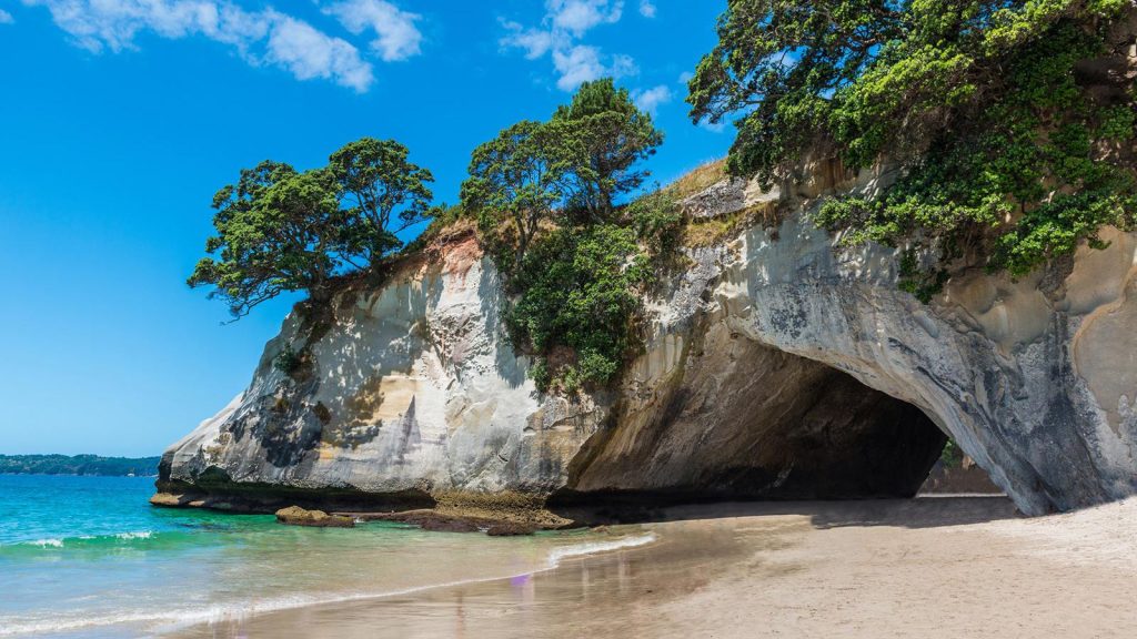 cathedral cove new zealand summer